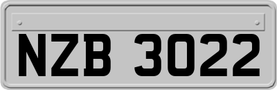 NZB3022