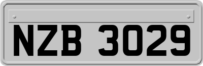 NZB3029