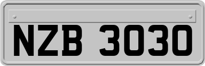 NZB3030