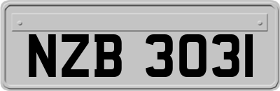 NZB3031