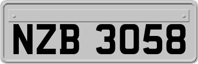 NZB3058