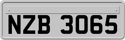 NZB3065