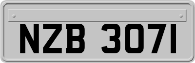 NZB3071