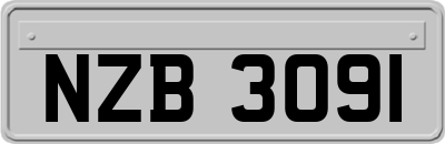 NZB3091