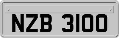 NZB3100