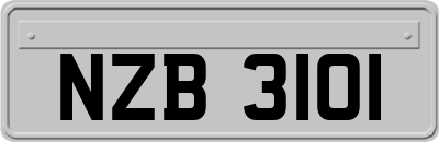 NZB3101