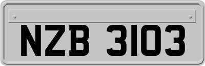 NZB3103