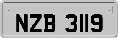 NZB3119