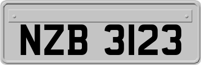 NZB3123