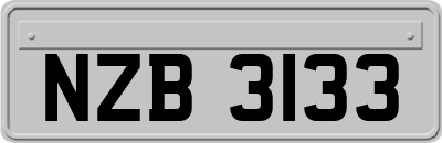 NZB3133