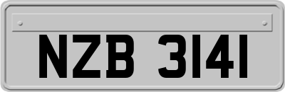 NZB3141