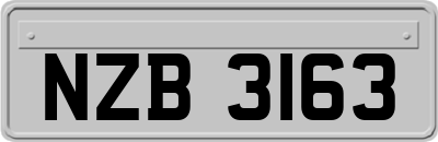 NZB3163