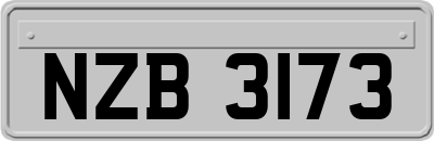 NZB3173