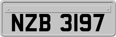 NZB3197