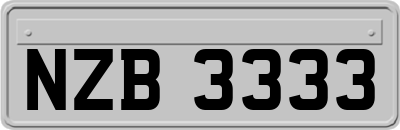 NZB3333
