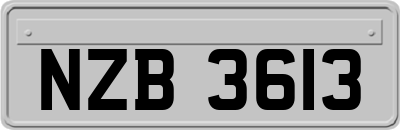 NZB3613