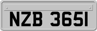 NZB3651