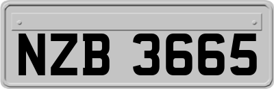 NZB3665