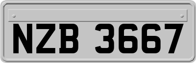 NZB3667