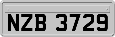 NZB3729