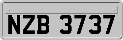 NZB3737