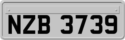NZB3739