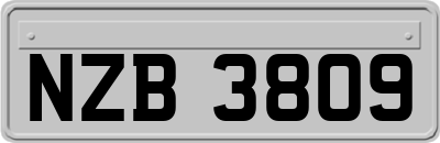 NZB3809