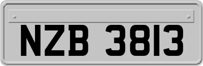NZB3813