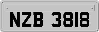 NZB3818