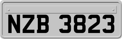 NZB3823