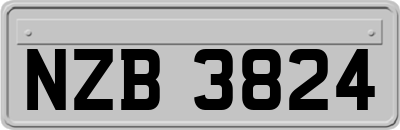 NZB3824