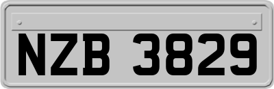 NZB3829