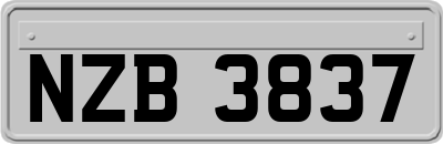 NZB3837