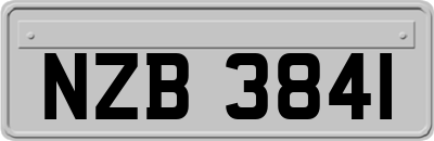 NZB3841