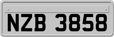 NZB3858