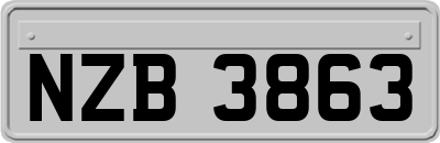 NZB3863