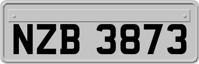 NZB3873