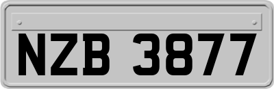 NZB3877