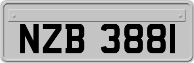 NZB3881