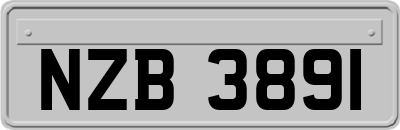 NZB3891