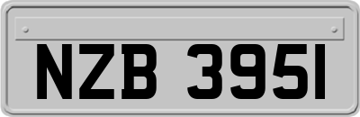 NZB3951