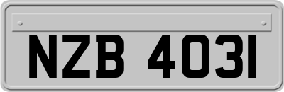 NZB4031