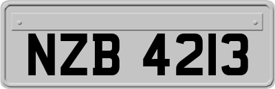 NZB4213