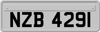 NZB4291