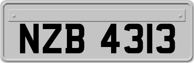 NZB4313