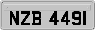 NZB4491