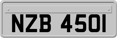 NZB4501