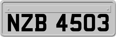 NZB4503