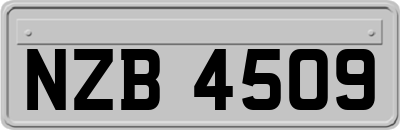NZB4509