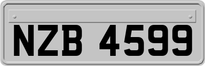 NZB4599